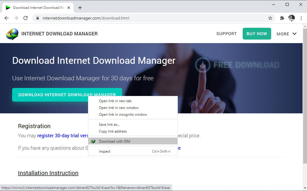 Internet Download Manager Browser support