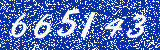 Capcha image